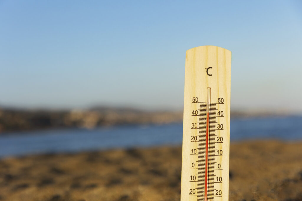 Calor extremo e baixa umidade? Saiba o que CBD pode fazer